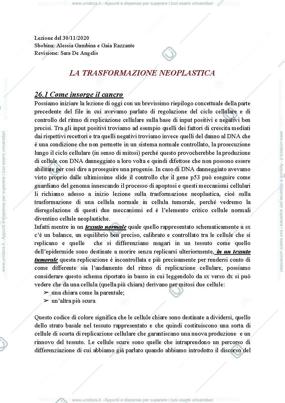 Anteprima pagina 1 — Biologia, lezione 19- TRASFORMAZIONE NEOPLASTICA, RIPRODUZIONE SESSUALE, MEIOSI, VARIABILITA' GENETICA