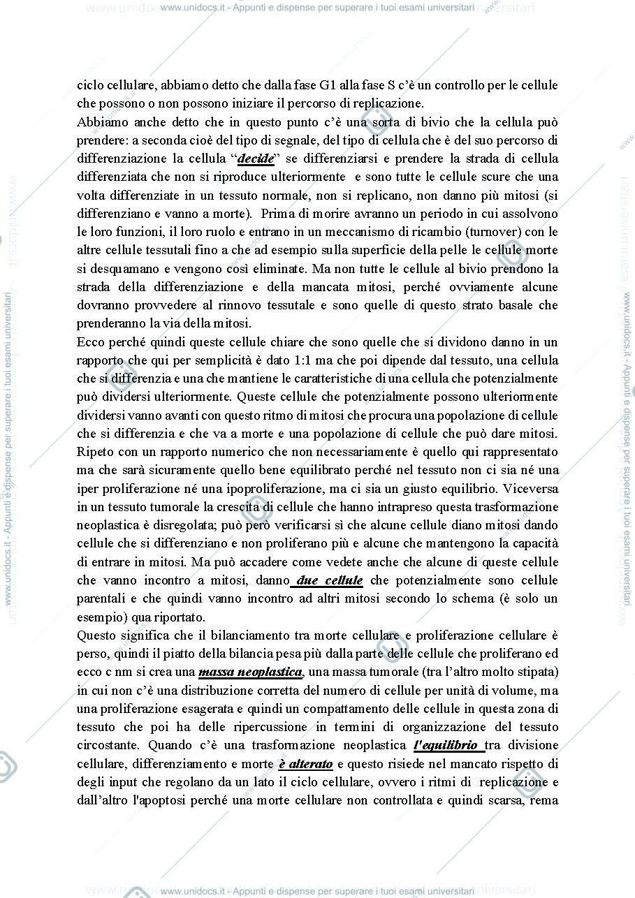 Anteprima pagina 2 — Biologia, lezione 19- TRASFORMAZIONE NEOPLASTICA, RIPRODUZIONE SESSUALE, MEIOSI, VARIABILITA' GENETICA