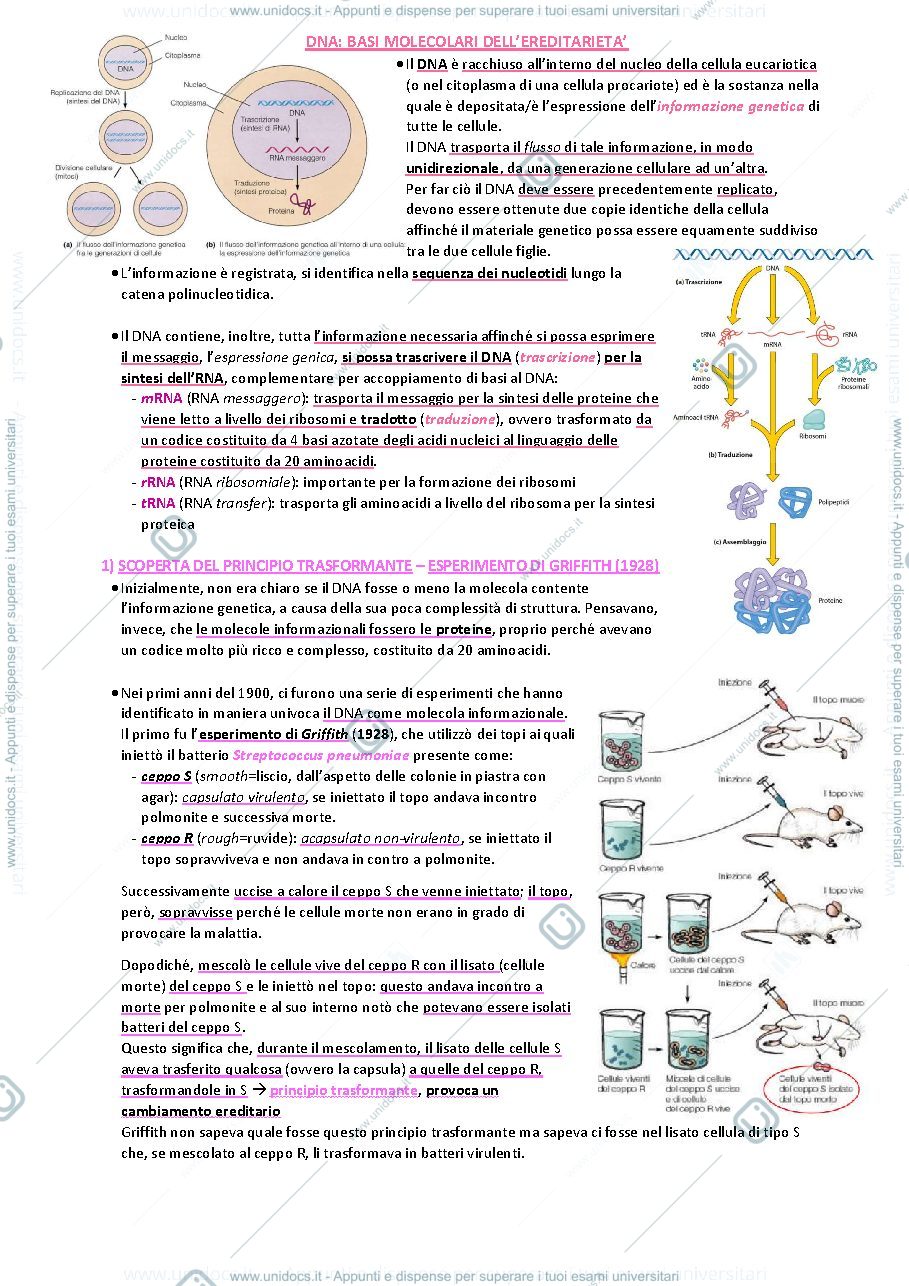 Anteprima pagina 1 — Biologia animale e vegetale