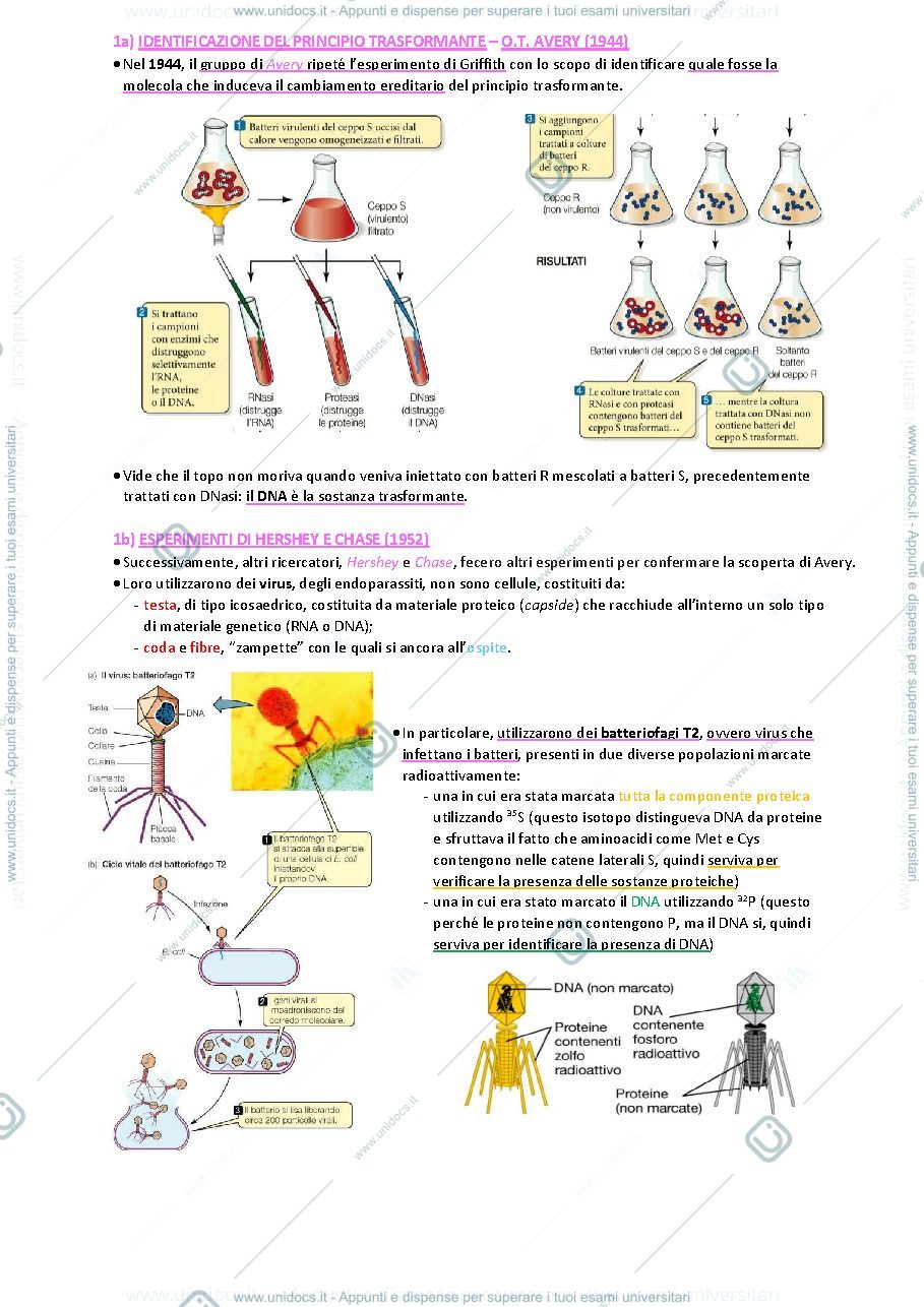 Anteprima pagina 2 — Biologia animale e vegetale