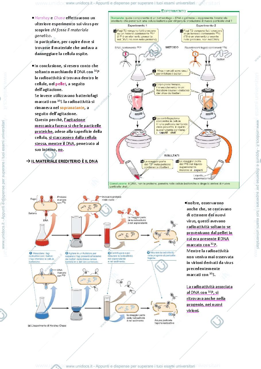 Anteprima pagina 3 — Biologia animale e vegetale