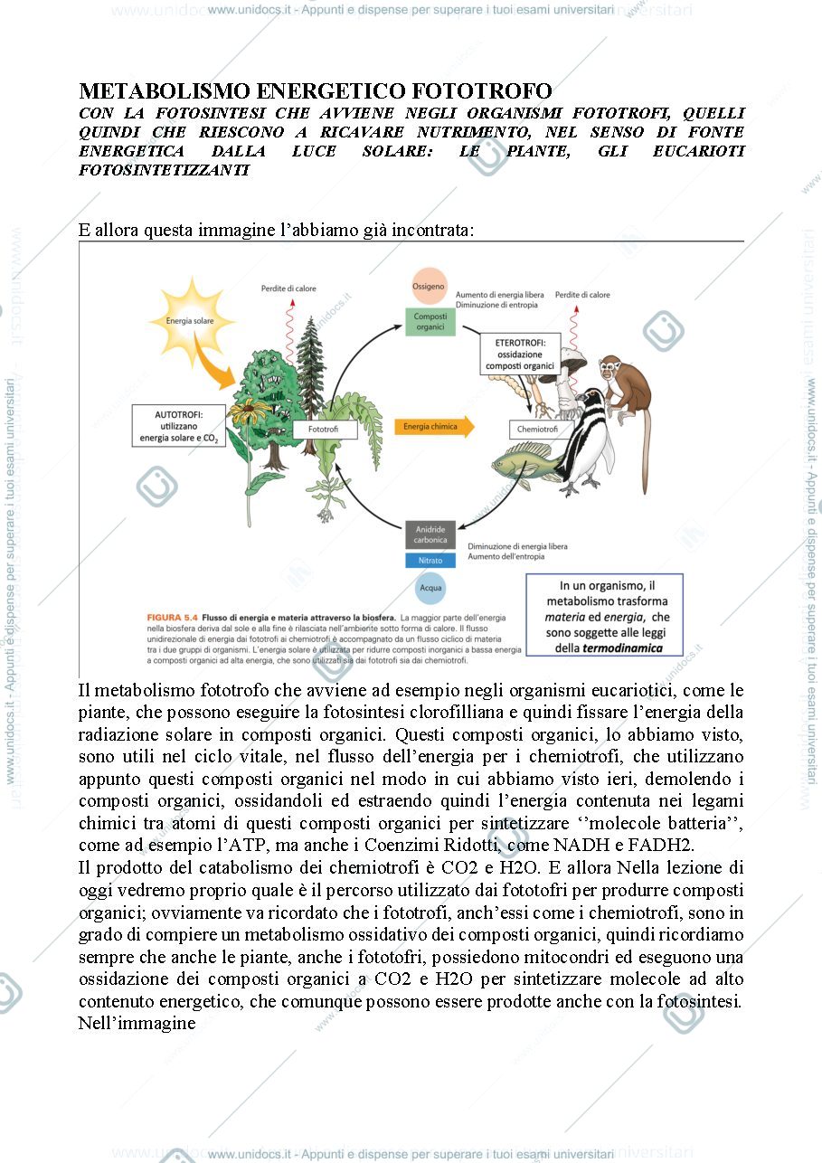 Anteprima pagina 1 — Biologia, lezione 8- METABOLISMO ENERGETICO FOTOTROFO