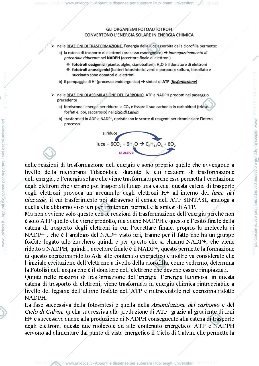 Anteprima pagina 3 — Biologia, lezione 8- METABOLISMO ENERGETICO FOTOTROFO