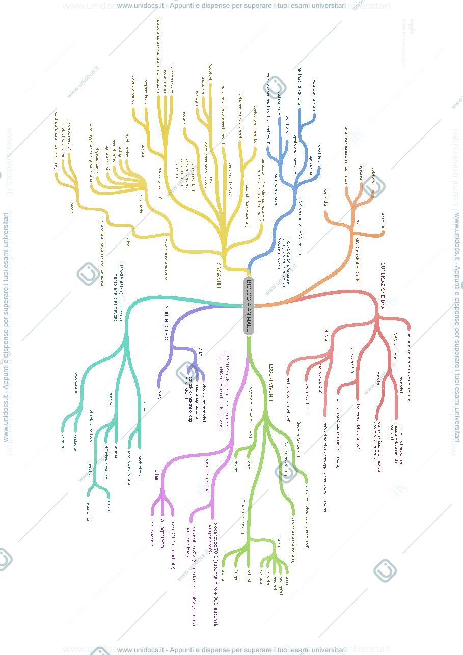 Anteprima pagina 1 — SCHEMI BIOLOGIA ANIMALE 