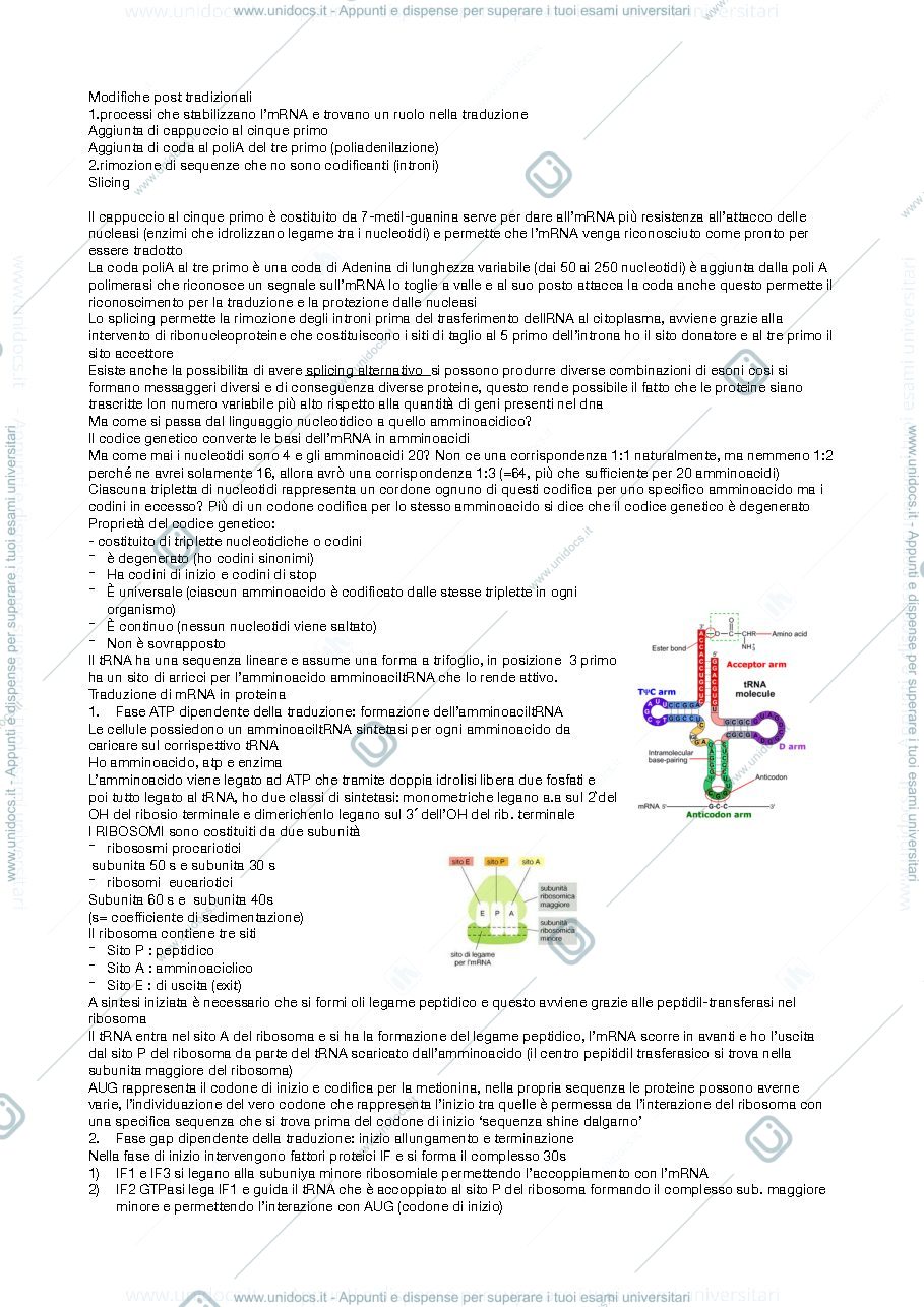 Anteprima pagina 2 — appunti di biologia animale 