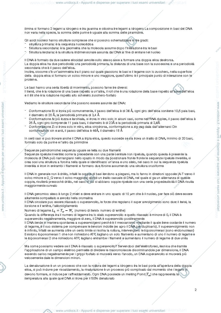 Anteprima pagina 2 — riassunto biologia molecolare 