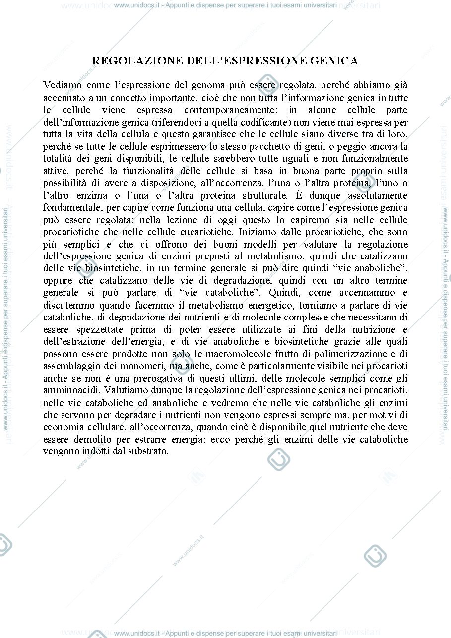 Anteprima pagina 1 — Biologia, lezione 15- REGOLAZIONE DELL'ESPRESSIONE GENICA