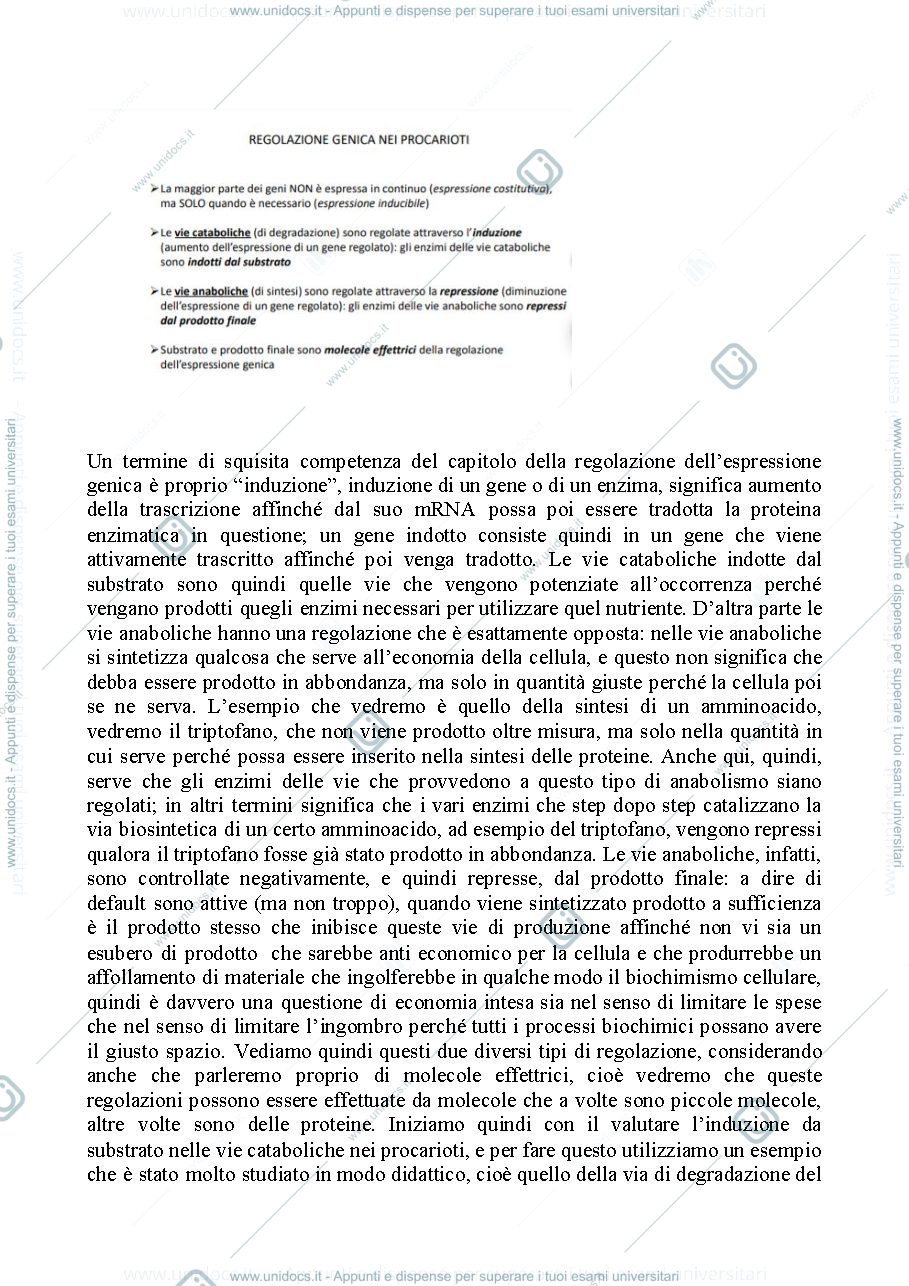 Anteprima pagina 2 — Biologia, lezione 15- REGOLAZIONE DELL'ESPRESSIONE GENICA
