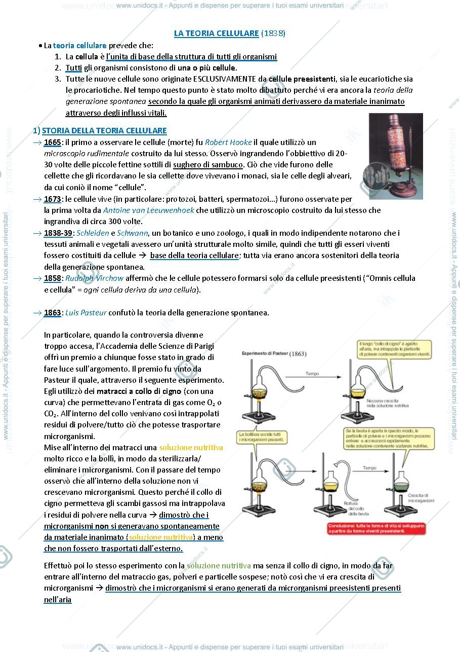 Anteprima pagina 1 — Appunti biologia animale e vegetale