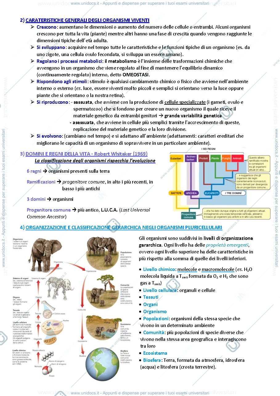 Anteprima pagina 2 — Appunti biologia animale e vegetale