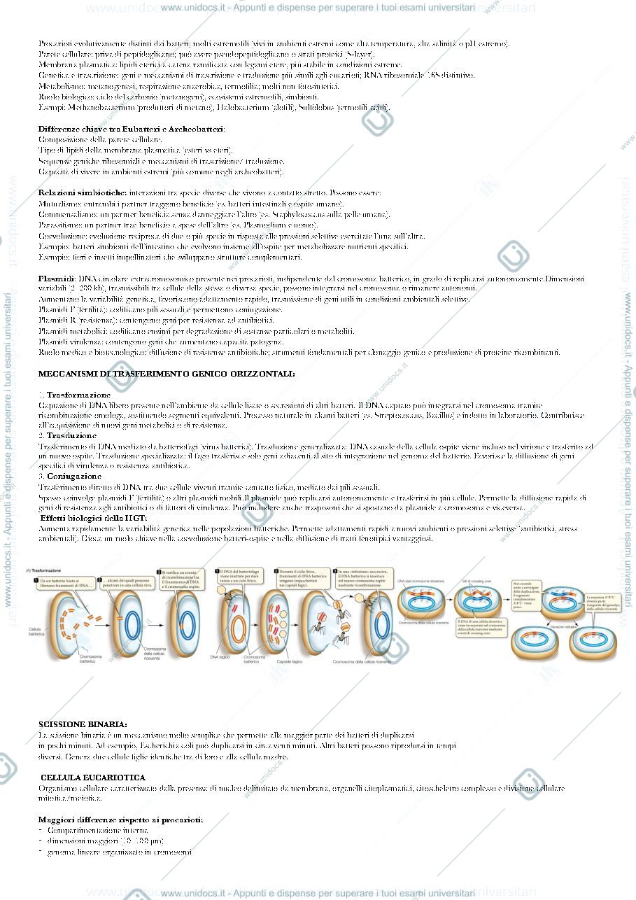 Anteprima pagina 4 — biologia animale e vegetale