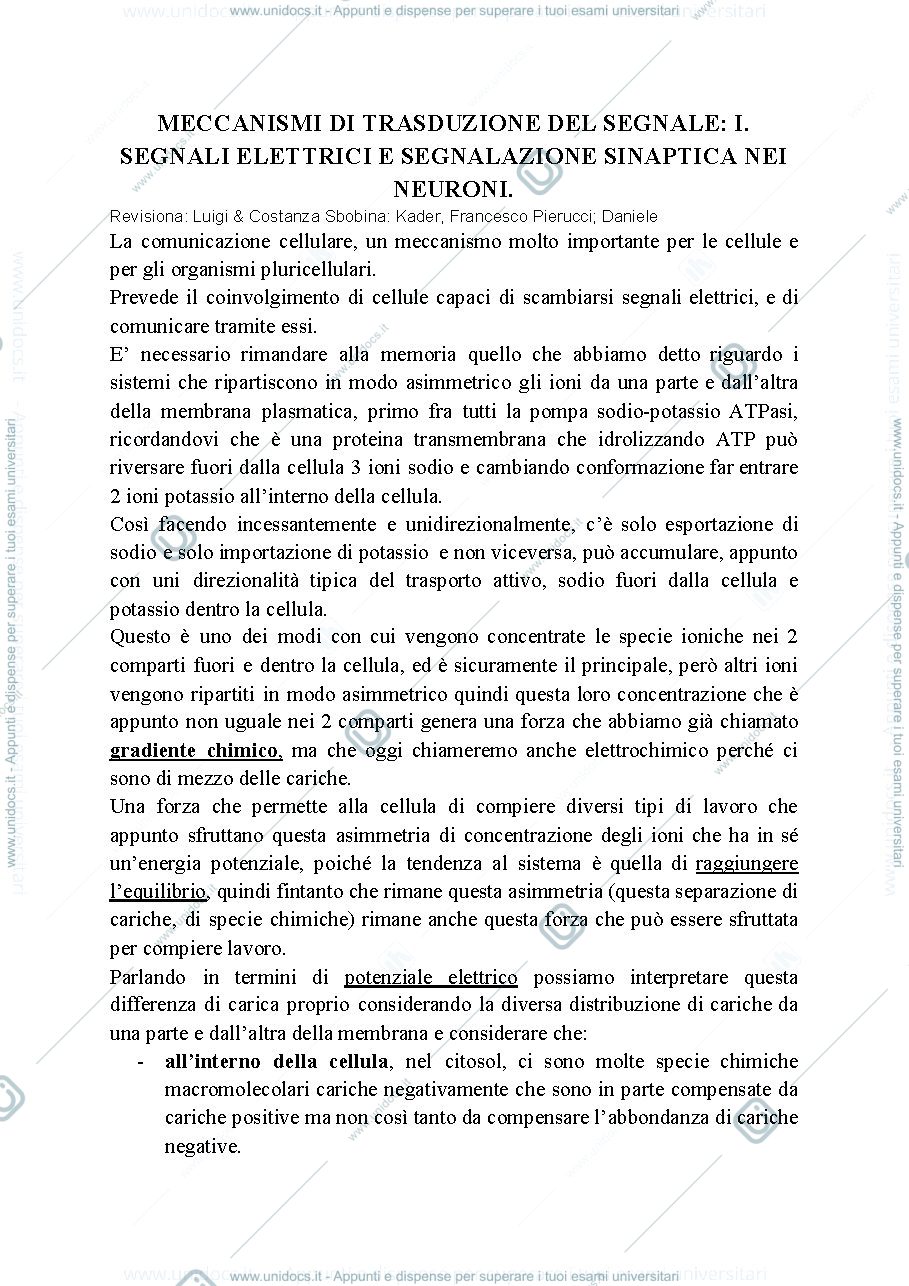 Anteprima pagina 1 — Biologia, lezione 16-MECCANISMI DI TRASDUZIONE DEL SEGNALE: I. SEGNALI ELETTRICI E SEGNALAZIONE SINAPTICA NEI NEURONI.