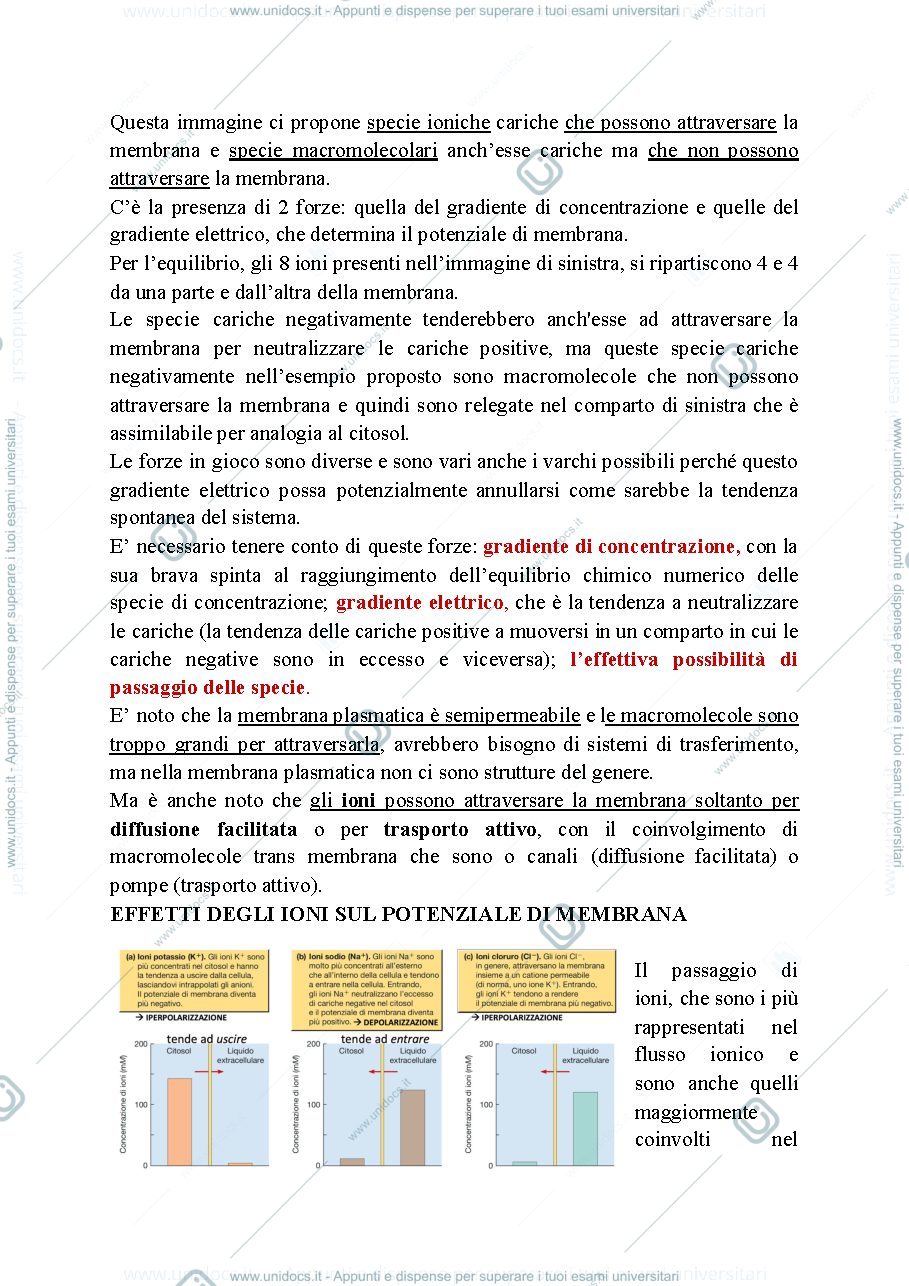 Anteprima pagina 3 — Biologia, lezione 16-MECCANISMI DI TRASDUZIONE DEL SEGNALE: I. SEGNALI ELETTRICI E SEGNALAZIONE SINAPTICA NEI NEURONI.