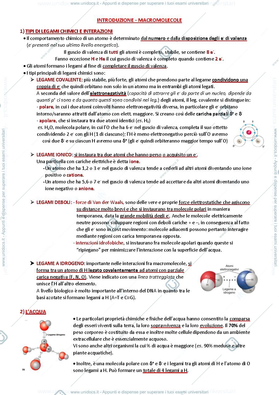 Anteprima pagina 1 — Biologia animale e vegetare