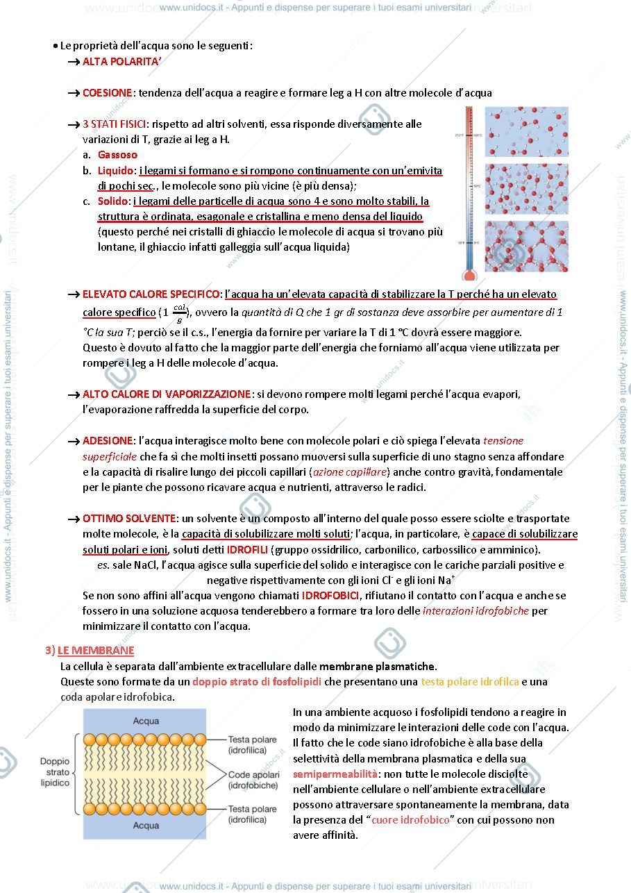 Anteprima pagina 2 — Biologia animale e vegetare