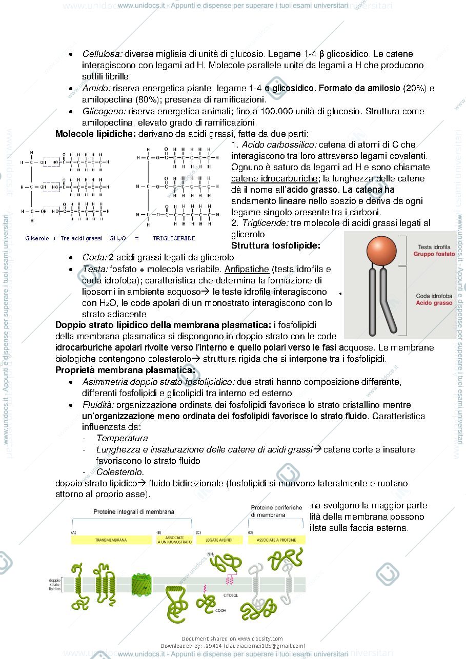 Anteprima pagina 3 — Biologia Animale Costa