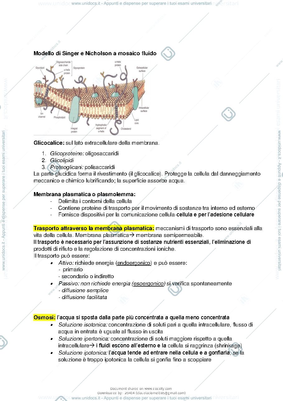 Anteprima pagina 4 — Biologia Animale Costa