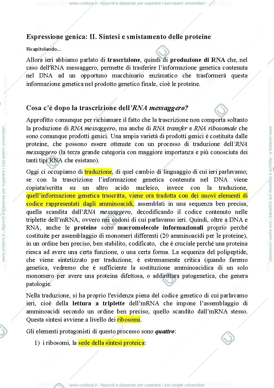 Anteprima pagina 1 — Biologia, lezione 14- L'ESPRESSIONE GENICA