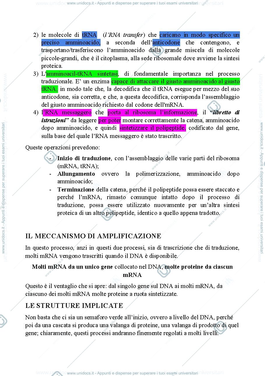 Anteprima pagina 2 — Biologia, lezione 14- L'ESPRESSIONE GENICA