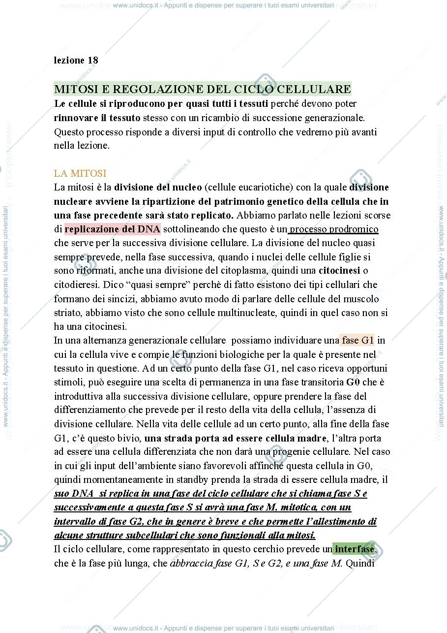 Anteprima pagina 1 — Biologia, lezione 18- MITOSI E REGOLAZIONE DEL CICLO CELLULARE