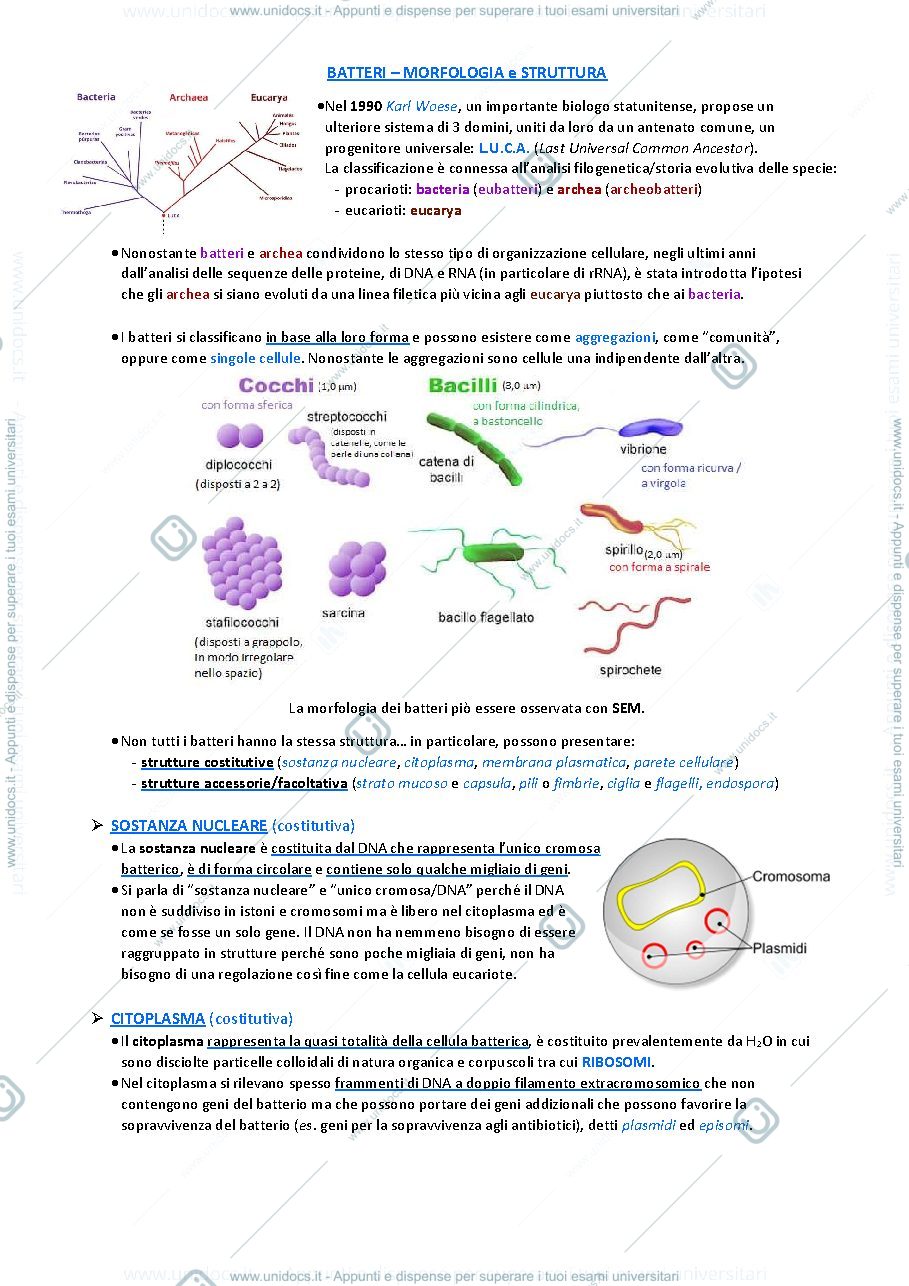 Anteprima pagina 1 — Biologia animale e vegetale 