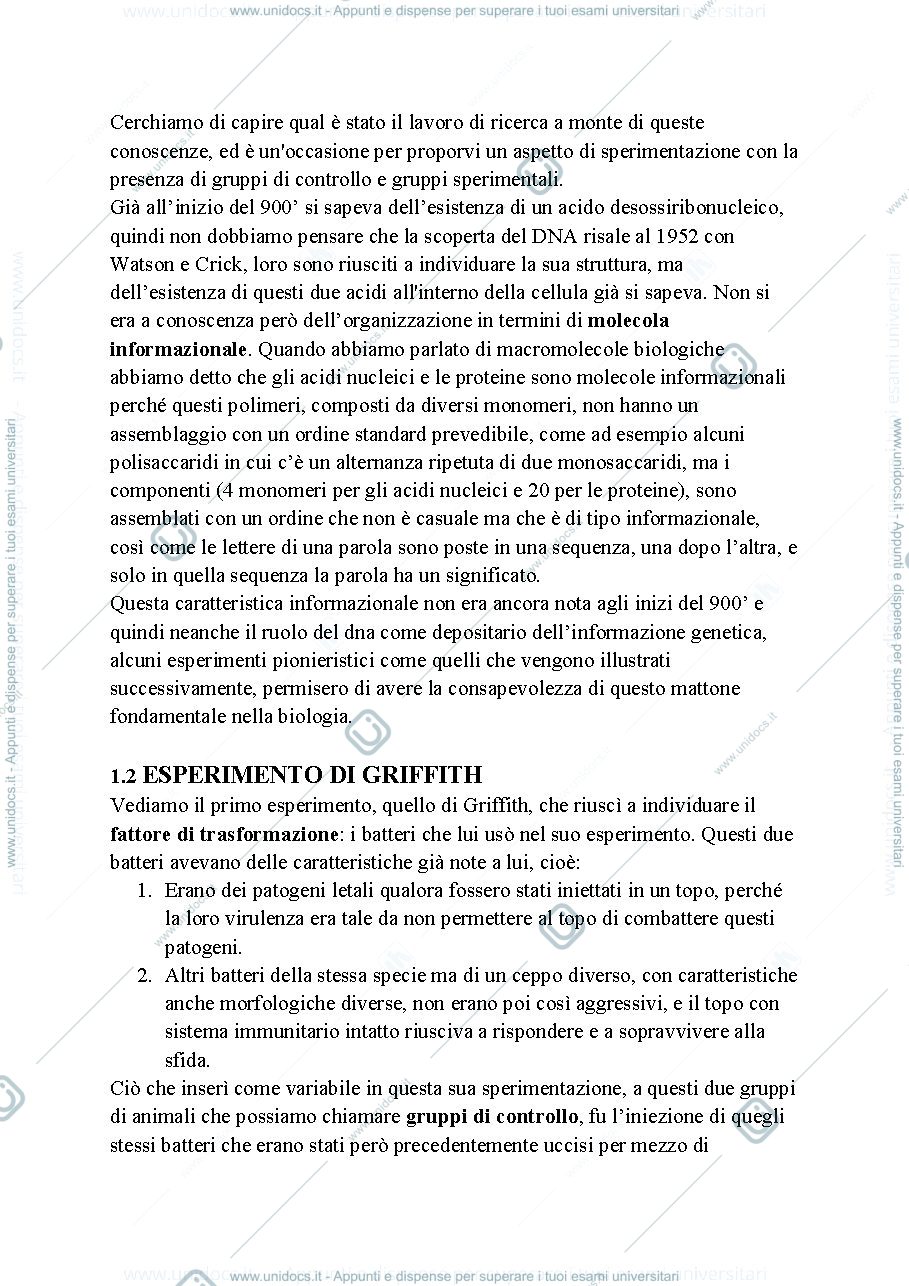 Anteprima pagina 2 — Biologia, lezione 12- INFORMAZIONE CELLULARE- DNA, CROMOSOMI E NUCLEO
