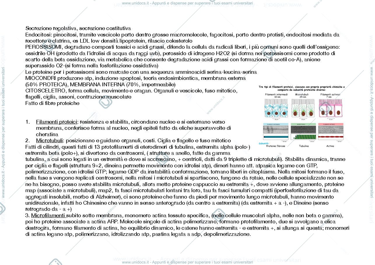 Anteprima pagina 2 — riassunto di biologia animale 