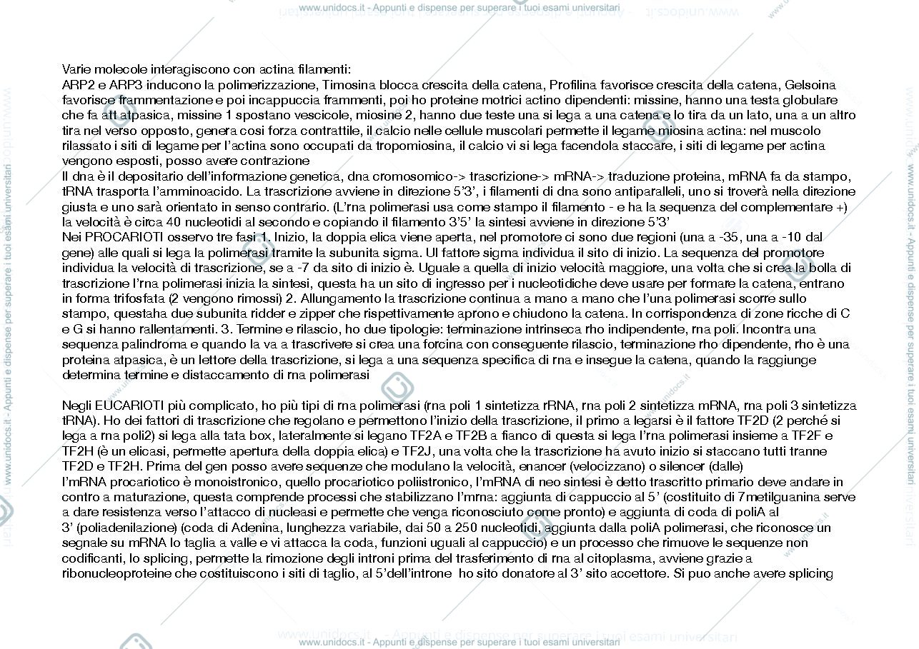 Anteprima pagina 3 — riassunto di biologia animale 