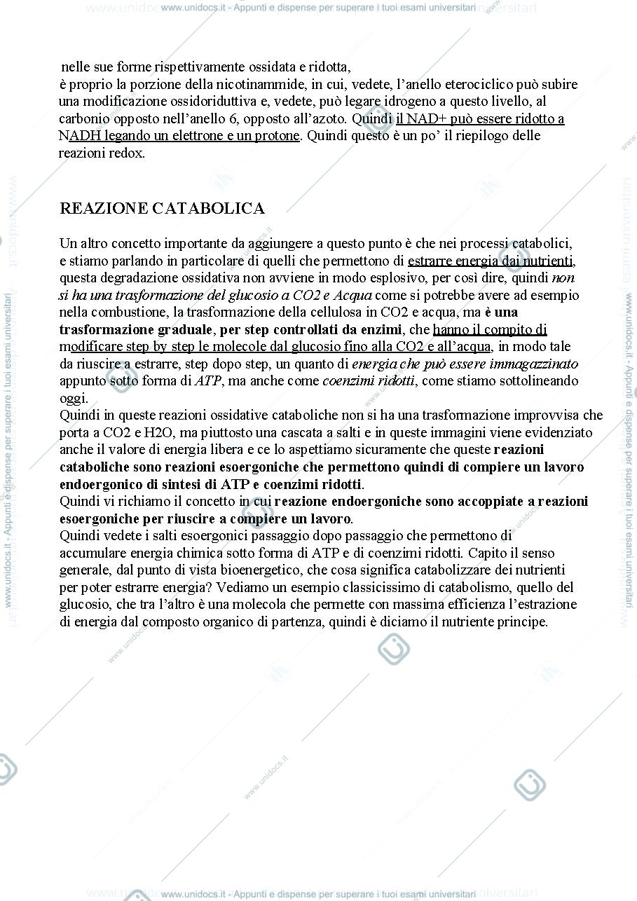 Anteprima pagina 3 — Biologia, lezione 7- METABOLISMO CELLULARE