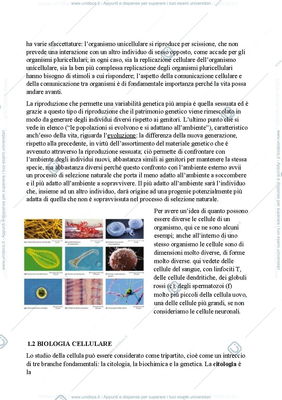 Anteprima pagina 3 — Biologia, lezione 1 
