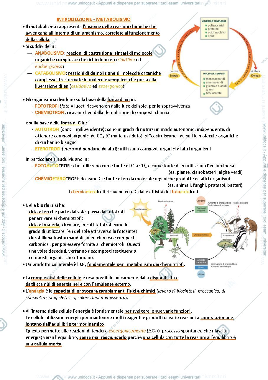 Anteprima pagina 1 — Biologia animale e vegetale