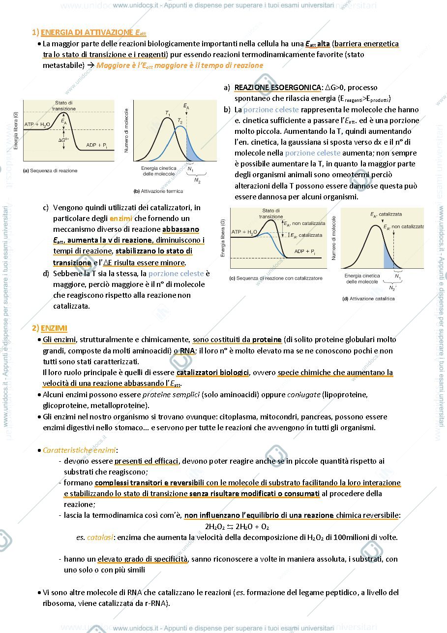 Anteprima pagina 2 — Biologia animale e vegetale
