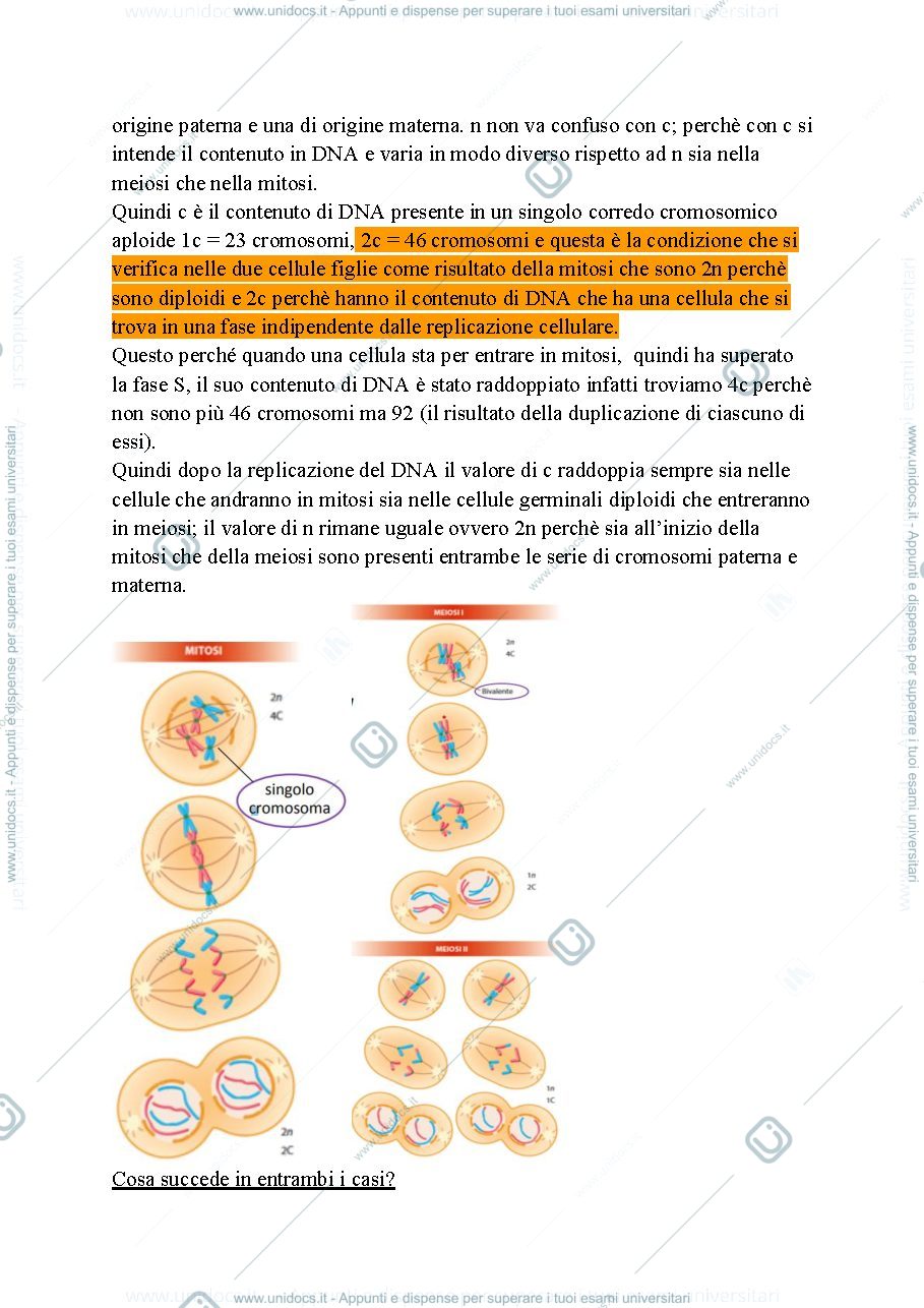 Anteprima pagina 2 — Biologia, lezione 20- MEIOSI PARTE 2 E VARIABILITA' GENETICA