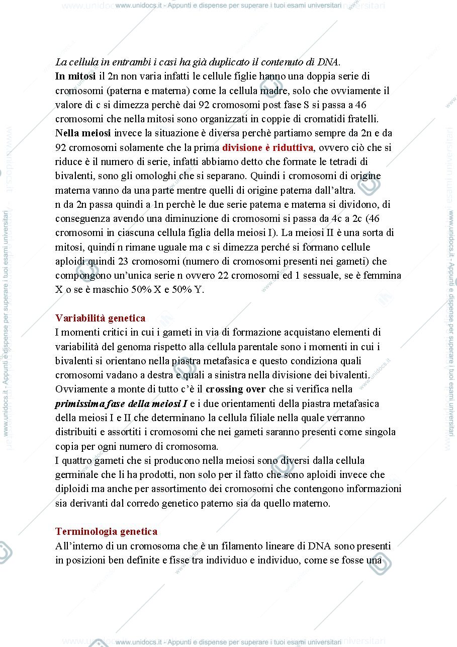 Anteprima pagina 3 — Biologia, lezione 20- MEIOSI PARTE 2 E VARIABILITA' GENETICA