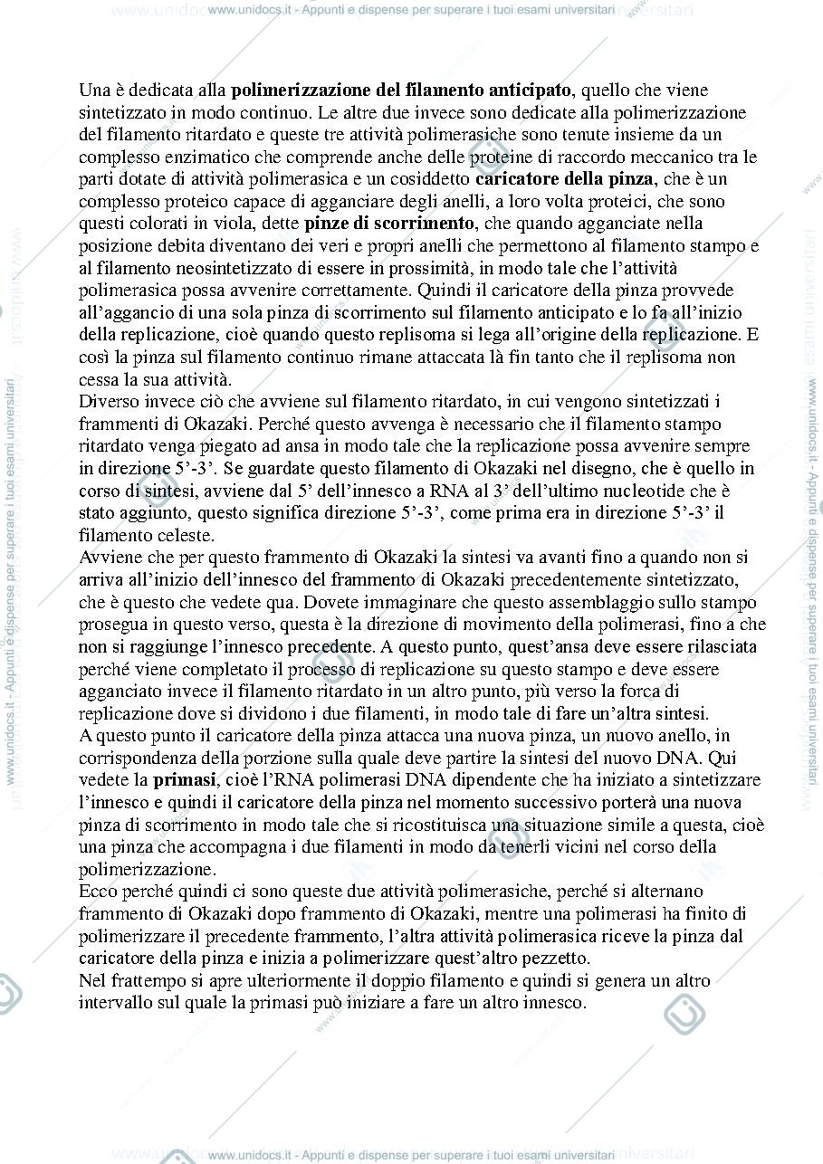 Anteprima pagina 2 — Biologia, lezione 13-DNA ED RNA