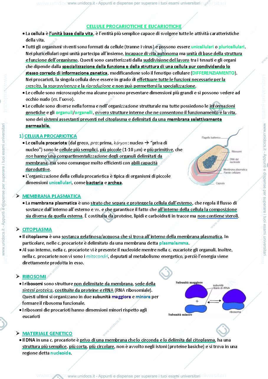 Anteprima pagina 1 — Biologia animale e vegetale 
