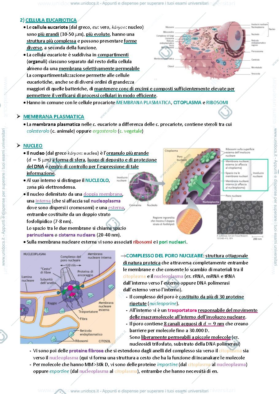 Anteprima pagina 2 — Biologia animale e vegetale 