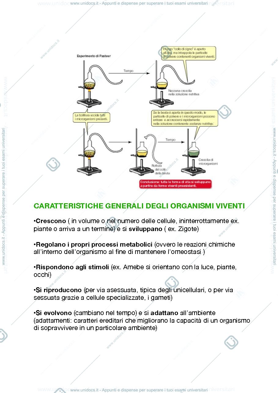 Anteprima pagina 2 — Biologia animale e vegetale 
