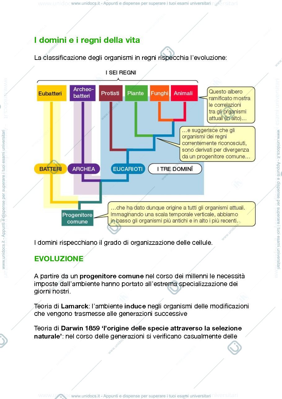Anteprima pagina 3 — Biologia animale e vegetale 
