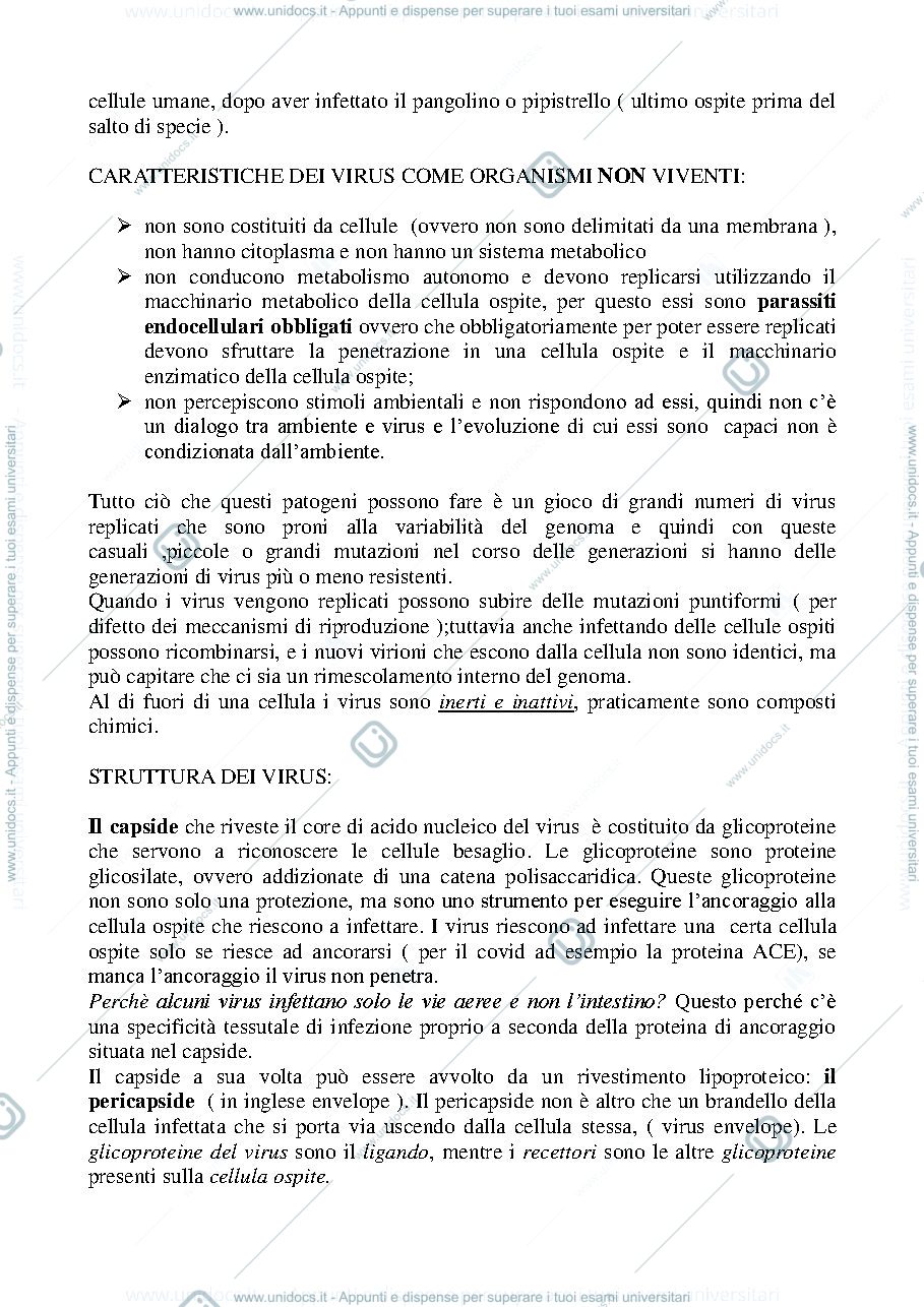 Anteprima pagina 2 — Biologia, lezione 4- I VIRUS