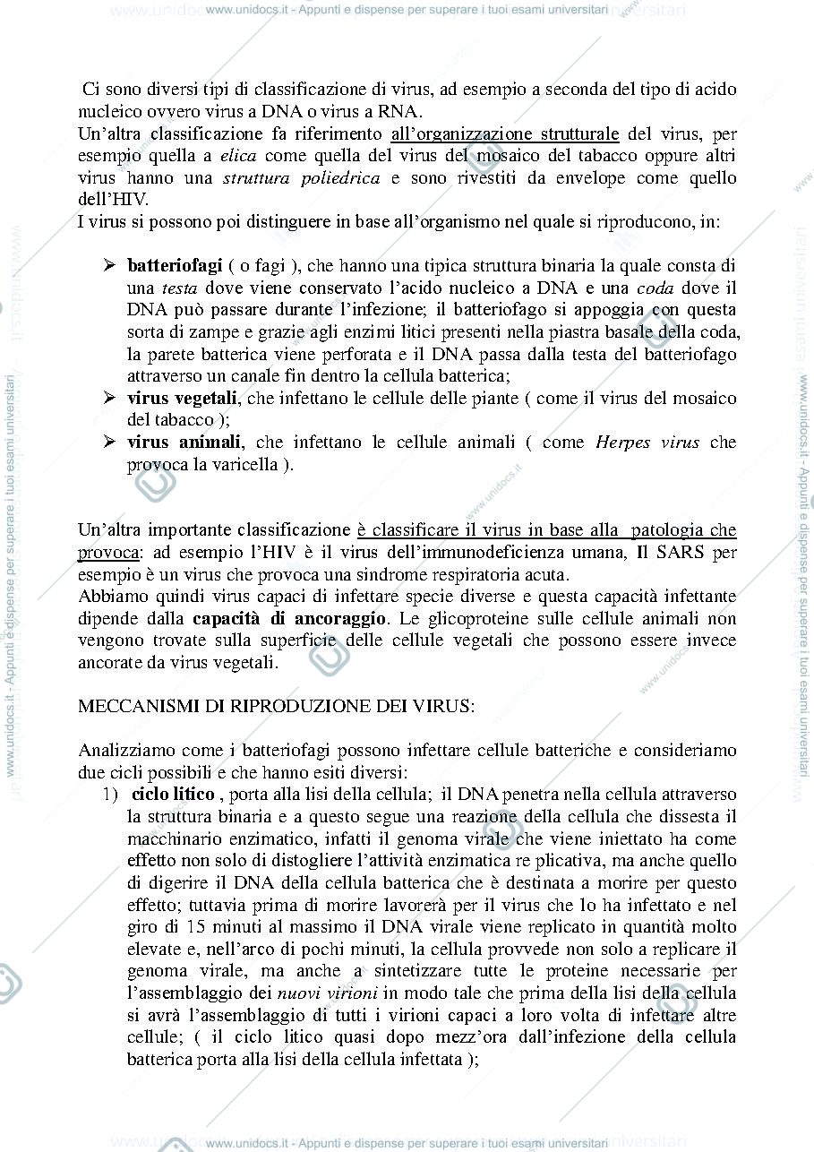 Anteprima pagina 3 — Biologia, lezione 4- I VIRUS
