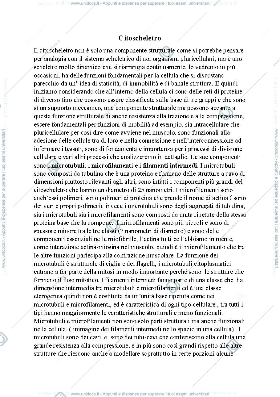 Anteprima pagina 1 — Biologia, lezione 10- ORGANULI E STRUTTURA CELLULARE