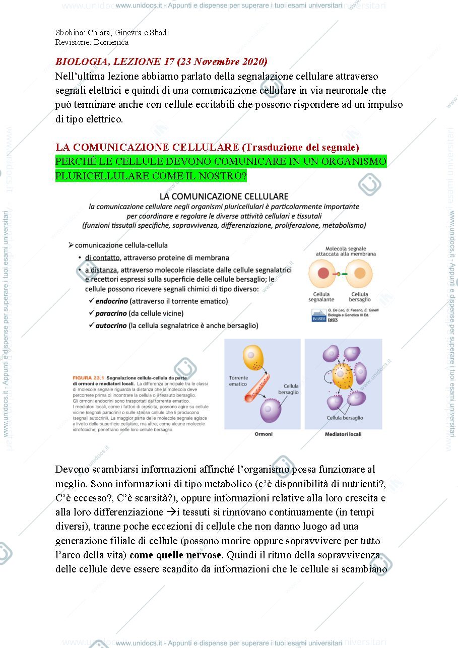 Anteprima pagina 1 — Biologia, lezione 17- COMUNICAZIONE CELLULARE
