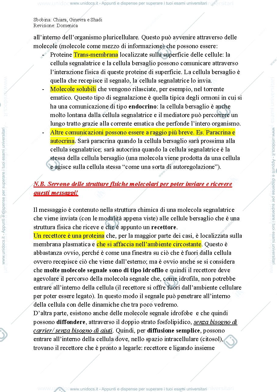 Anteprima pagina 2 — Biologia, lezione 17- COMUNICAZIONE CELLULARE
