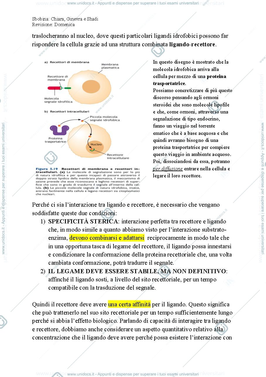 Anteprima pagina 3 — Biologia, lezione 17- COMUNICAZIONE CELLULARE