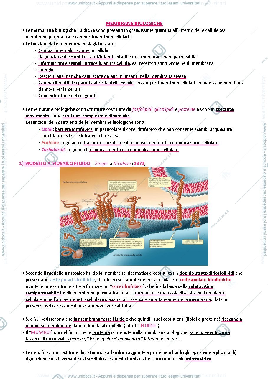 Anteprima pagina 1 — Biologia animale e vegetale 