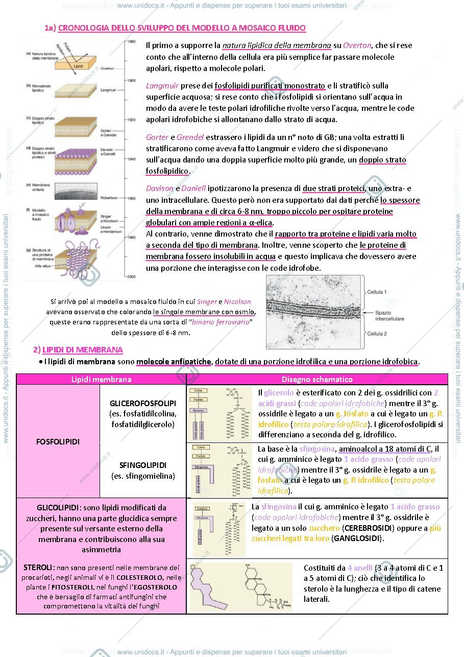 Anteprima pagina 2 — Biologia animale e vegetale 