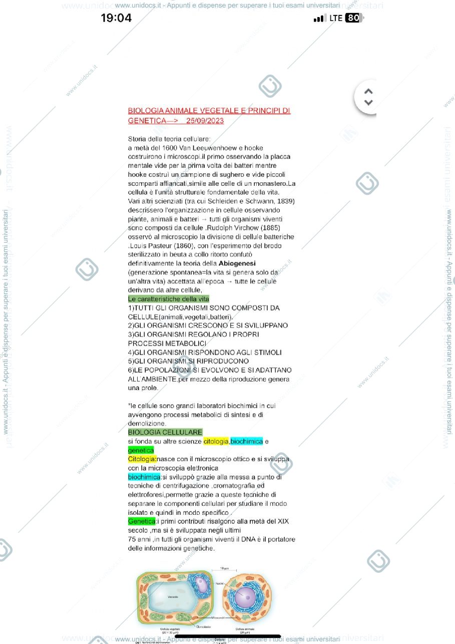 Anteprima pagina 1 — Lezione 1