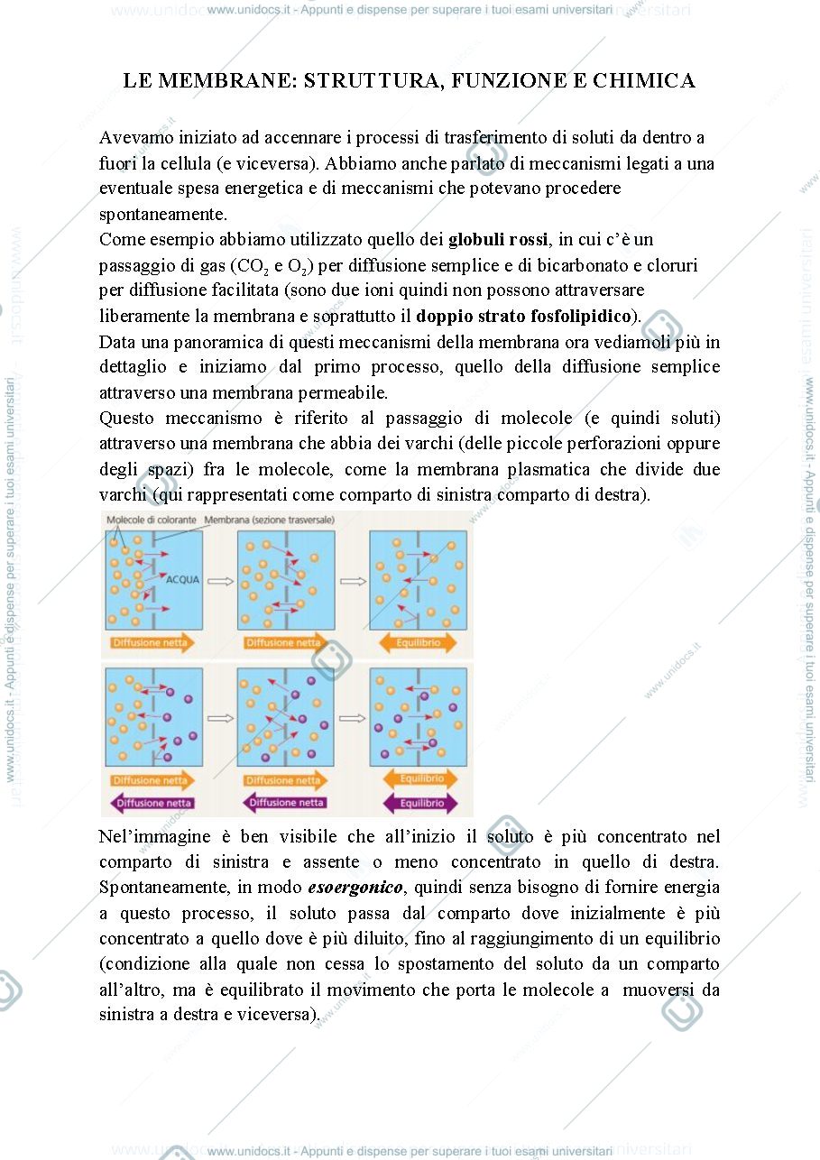 Anteprima pagina 1 — Biologia, lezione 6-MEMBRANA CELLULARE