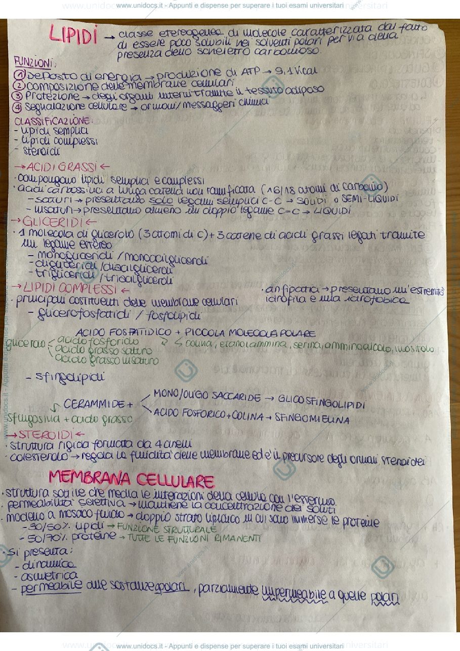 Anteprima pagina 1 — Sbobine Biologia